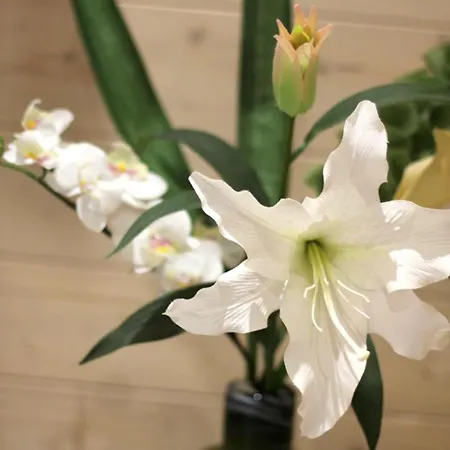 Connemara Luxury Log Out Semesterbostad *