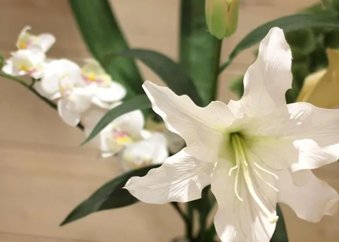 Connemara Luxury Log Out Semesterbostad *